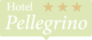 logo_bg_point